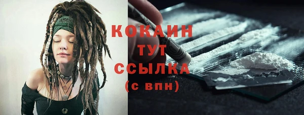 хмурый Лиски