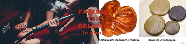 хмурый Белокуриха