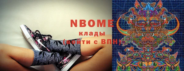 стаф Богданович