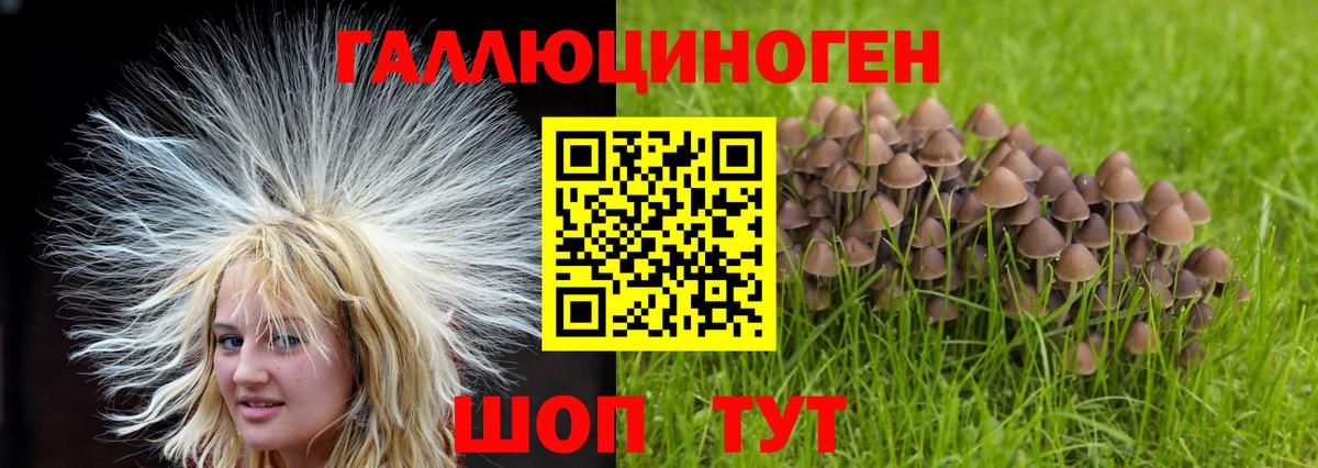 Псилоцибиновые грибы ЛСД  Вход с VPN  Морозовск  что такое наркотик  Галлюциногенные грибы мицелий 