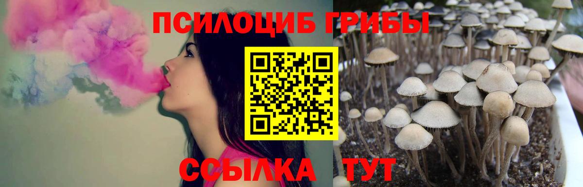 Галлюциногенные грибы MAGIC MUSHROOMS Морозовск